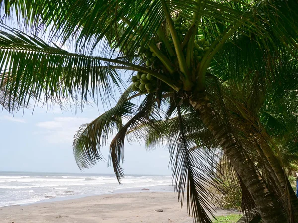 Bela praia na ilha tropical . — Fotografia de Stock