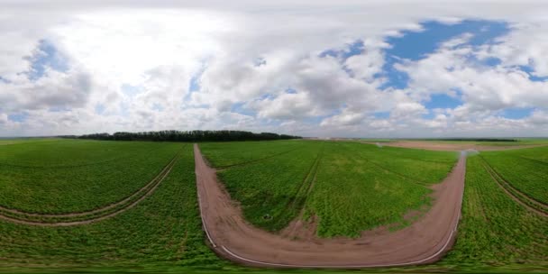 Bewässerungssystem auf landwirtschaftlichen Flächen. — Stockvideo