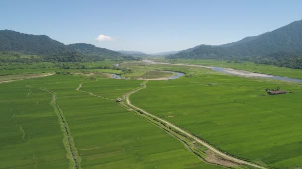 Bergdal met landerijen in de Filippijnen — Stockvideo