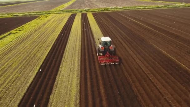 A traktor műveli a földet a mezőn. — Stock videók