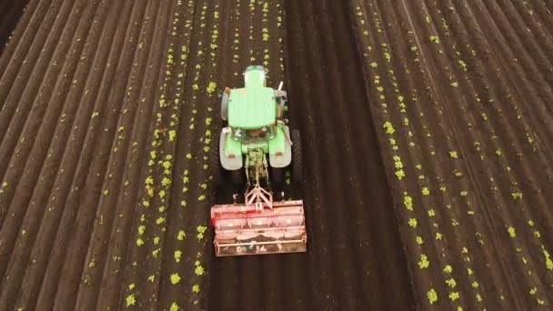 Tractor cultiva la tierra en el campo. — Vídeo de stock