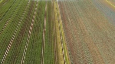 Tarım arazisindeki sulama sistemi.