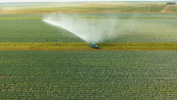 Irrigation system on agricultural land. — Stock Video