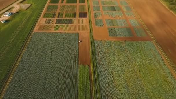 Vue aérienne des terres agricoles . — Video