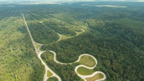 Camino de prueba en el bosque. Vista aérea — Vídeo de stock