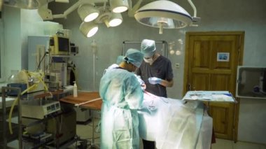 Veteriner kliniğinde bir köpeğin cerrahi müdahalesi