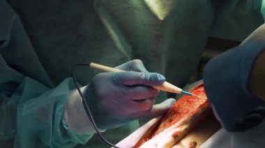 Veteriner kliniğinde bir köpeğin cerrahi müdahalesi