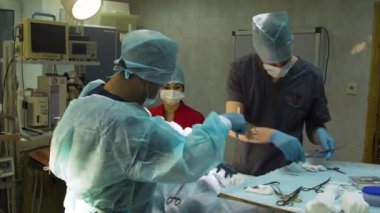 Veteriner kliniğinde bir köpeğin cerrahi müdahalesi