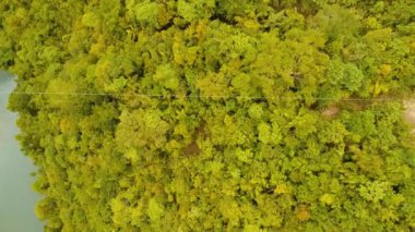 Cazibe zipline ormanda Bohol, Filipinler.