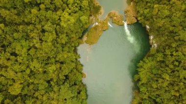 Yağmur ormanlarında Filipinler, Bohol Nehri.