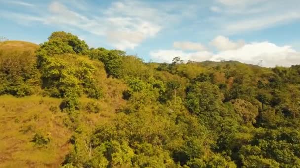 Paisagem montanhosa com vale Bohol, Filipinas — Vídeo de Stock
