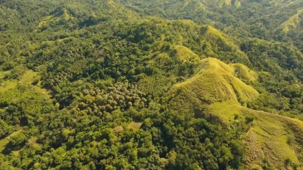 Paisagem montanhosa com vale Bohol, Filipinas — Vídeo de Stock