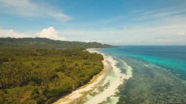 Turkuaz deniz Filipinler, Bohol ve tropikal plaj