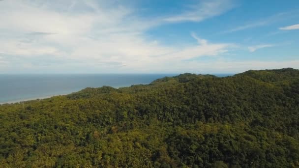 Vue du paysage montagneux et océanique .