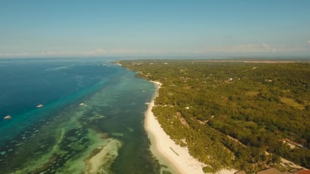 熱帯のビーチとターコイズ ブルーの海フィリピン、ボホール島 — ストック動画