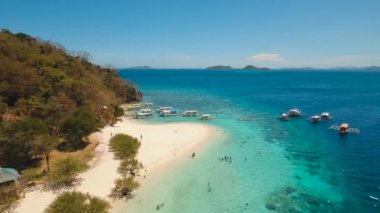 Kum plajlı tropikal ada ve mavi gölde mercan resifli palmiye ağaçları. Muz Adası Palawan, Filipinler. Turkuaz su deniz manzaralı gölcük Seyahat konsepti Havacılık video