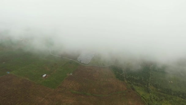 Terres agricoles dans les montagnes dans le brouillard. Île de Jawa, Indonésie