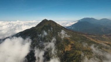 Dağ sırtı ağaçlar, bulutların altında yağmur ormanları ile kaplı. Bulut, Doğu Java, Endonezya'nın Banyuwangi Regency ile dağ kapak hava görünümünü. 4 k hava görüntüleri.