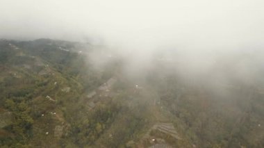 Dağlarda sisli ve bulutlu tarlalar. Bali, Endonezya
