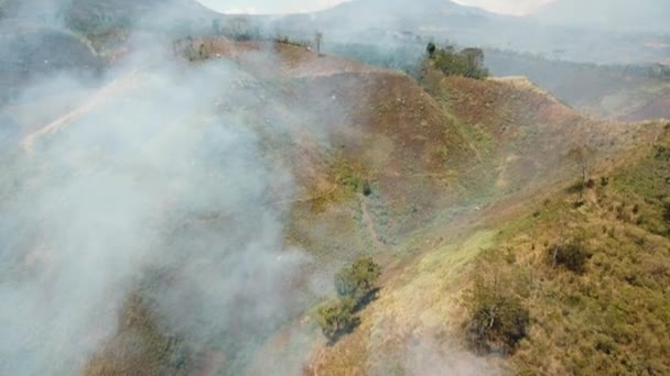 Vue aérienne Incendie de forêt. Île de Jawa, Indonésie . — Video