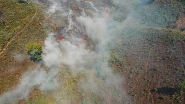 Flygfoto skogsbrand. Jawa island, Indonesien. — Stockvideo