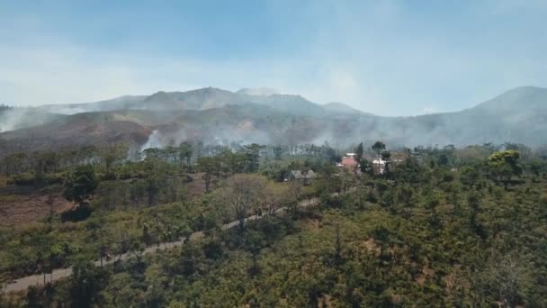 Waldbrand aus der Luft. jawa island, indonesien. — Stockvideo