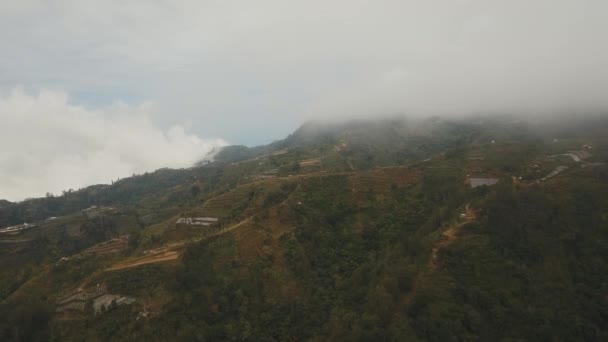 Terras agrícolas nas montanhas em nevoeiro e nuvens. Bali, Indonésia — Vídeo de Stock