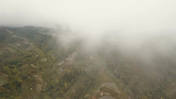 Boerderij in de bergen in mist en wolken. Bali, Indonesië — Stockvideo