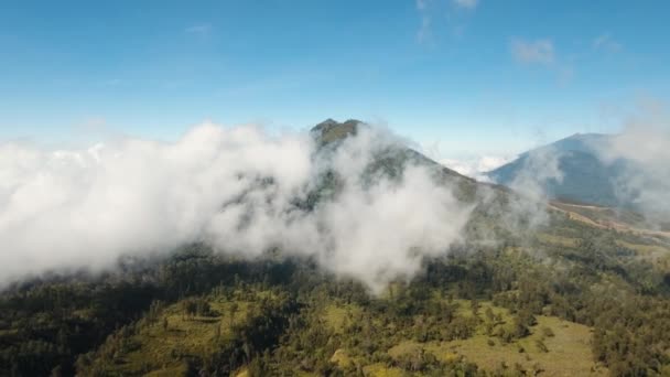 Bergslandskap Jawa ön, Indonesien. — Stockvideo