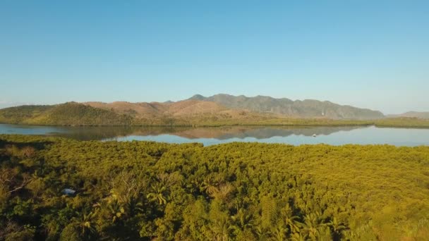 Luftberge Meeresbuchten Mangrovenwälder Bei Sonnenaufgang Bucht Zwischen Bergen Dschungel Philippinen — Stockvideo