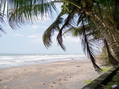 güzel bir plaj tropikal adada.