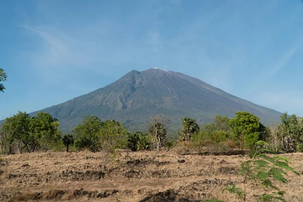 Vista del paisaje del bosque de montaña. Bali. —  Fotos de Stock