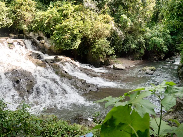 Schöner tropischer Wasserfall. Bali, Indonesien. — Stockfoto