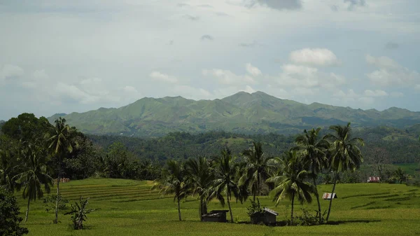 Berg med tropisk skog. Filippinerna Bohol island. — Stockfoto