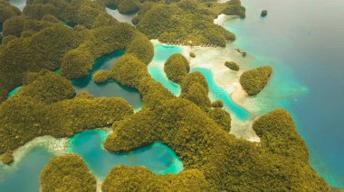 Havadan görünümü: Buckalar Grande Adası, Sohoton Cove. Filipinler. Tropikal deniz defne ve lagün, plaj. Tropikal Peyzaj taş yağmur ormanları ile hill, bulutlar ve dağlar. Masmavi suyu lagün. Shore