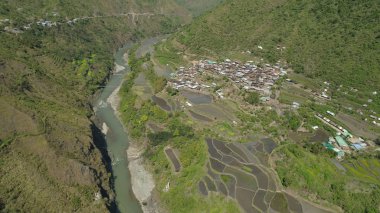 Dağlarda pirinç terasları.