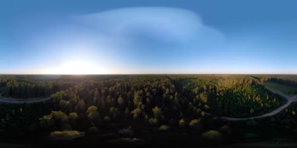 Vr360 flygning över den gröna skogen. — Stockvideo
