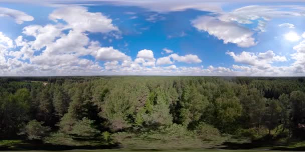 Vr360 uçuş yeşil orman üzerinde. — Stok video
