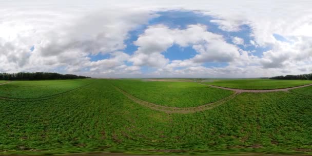 Irrigation system on agricultural land. — Stock Video