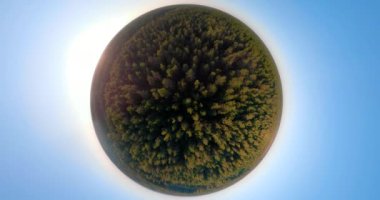 Yeşil orman küresel panorama üzerinden uçuş