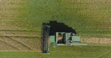 Buğday tarlasında hasatçıyı birleştir