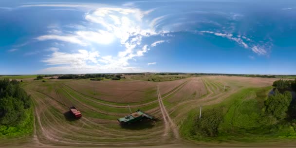 Combineren van harvester op tarweveld Vr360 — Stockvideo