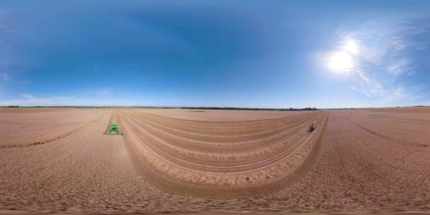 Combine harvester on wheat field VR360 — Stock Video