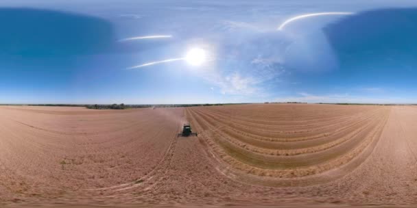 Combine harvester on wheat field VR360 — Stock Video