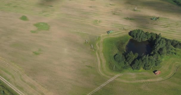 Combinați recoltatorul pe câmpul de grâu — Videoclip de stoc
