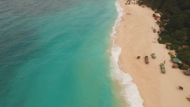 Τροπική παραλία με άμμο με φοίνικες — Αρχείο Βίντεο
