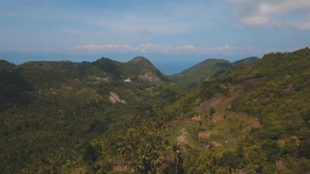 Τροπικό τοπίο με τους φοίνικες. Φιλιππίνες — Αρχείο Βίντεο