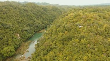 Cazibe zipline ormanda Bohol, Filipinler.