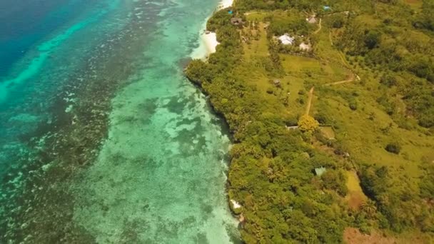 Tropical beach és a türkizkék tenger Fülöp-szigetek, Bohol — Stock videók