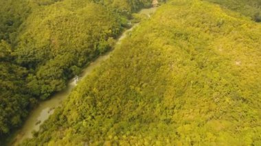 Yağmur ormanlarında Filipinler, Bohol Nehri.